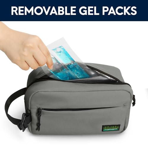 Haimont Freezable Snack Cooler Bag, Mini Chill Reusable Freezer Lunch Bags with Adjustable Handle, Wear Resistant Small Insulated with Zip Closure, Gray - color: Gray