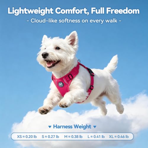 PoyPet Mesh Dog Harness, Reflective Breathable Puppy Vest for Small Dogs - color: Fuchsia, size: S