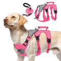 PUPTECK Escape Proof Dog Harness and Leash Set Upgraded No Pull Reflective Dog Vest with Lift Handle, Easy Control Pet Harness for Medium Large Dogs Training Walking Running, Fuchsia, M - color: Fuchsia/Grey, size: Medium