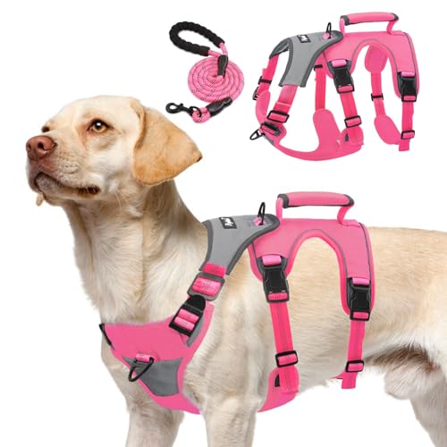 PUPTECK Escape Proof Dog Harness and Leash Set Upgraded No Pull Reflective Dog Vest with Lift Handle, Easy Control Pet Harness for Medium Large Dogs Training Walking Running, Fuchsia, M - color: Fuchsia/Grey, size: Medium