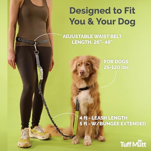 Tuff Mutt Waist Hands Free Dog Leash for Walking Running Hiking - color: gray/orange