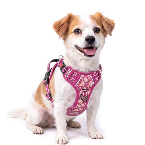 HEELE Dog Harness, No Pull, No Choke Vest, Easy On & Off, Flower Rose, S - color: Flower Rose, size: S (Pack of 1)