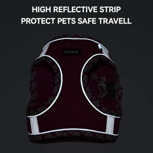 Petank Step in Dog Harness No Pull and Leash for Small Medium Dogs Cats. - color: Rose Red, size: XXXS