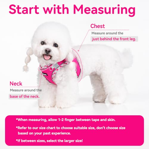 Petank Step in Dog Harness No Pull and Leash for Small Medium Dogs Cats. - color: Rose Red, size: XXXS