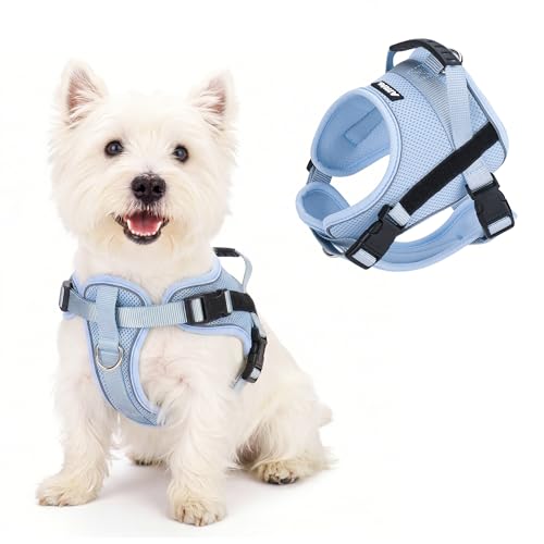 AIITLE No-Pull Dog Harness Reflective Mesh Vest Adjustable, Blue XS - color: Blue, size: XS