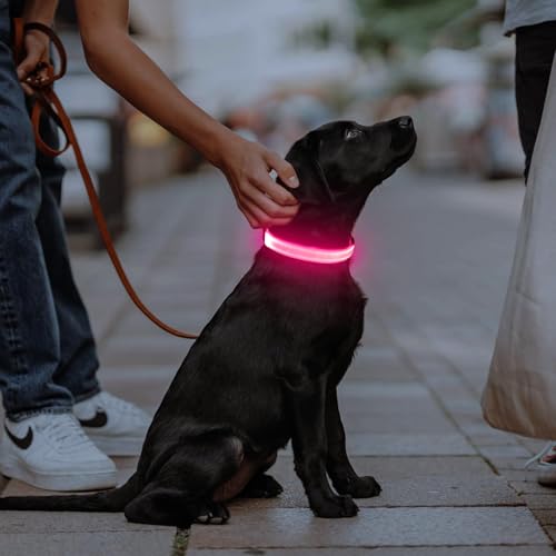 Illumifun Light Up Dog Collar, USB Rechargeable LED Collar, Waterproof Adjustable Glow Safety Light for Small Medium Large Dogs (Pink, Large) - color: Pink, size: Large
