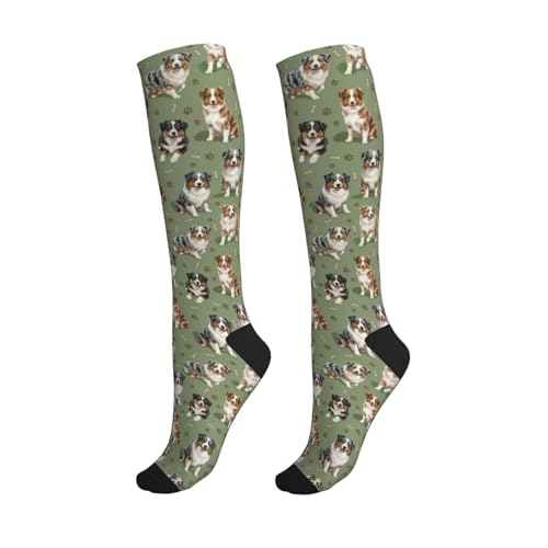Cute Dog Compression Socks Women Men, Dog Lover Gift - color: Australian Shepherd