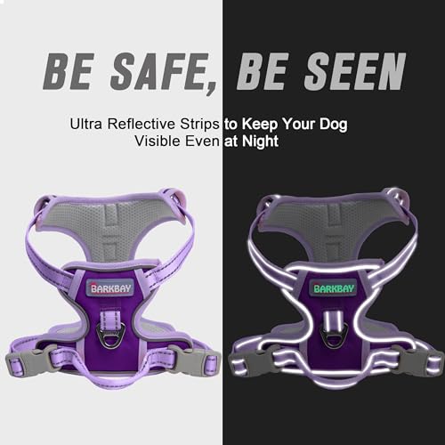 BARKBAY Dog Harness No Pull for Small Sized Dog Front Back Clips,Dog Vest - color: Violet Purple & Purple, size: X-Small(Chest:15.5-19.5”)