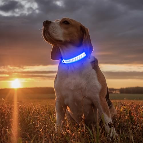 Illumifun LED Dog Collar - USB Rechargeable Dog Light Up Collar, Reflective Pet Collar Light Glow in the Dark (BlueⅢ, Medium) - color: BlueⅢ, size: Medium