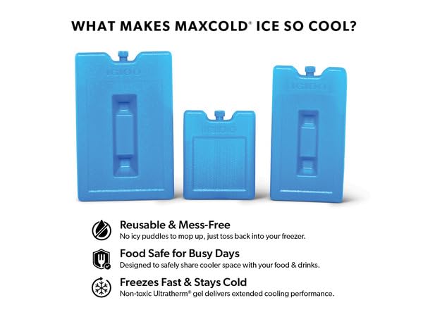 Igloo Medium Maxcold 2 Pack Ice Block, Reusable Ice Packs for Coolers, Freezer Pack, Cold Packs for Coolers, Long Lasting Ice Blocks - color: 2PK Medium