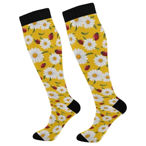 Wusikd Heartbeat Symbol Compression Socks for Women and Men Circulation Black Long Socks for Athletic Running 1 - color: Ladybug