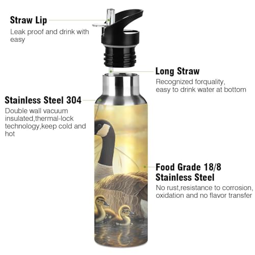 OTVEE Canada Geese and Goslings Water Bottle Sports Water Bottle Insulated Stainless Steel Hot Cold Water Mug with Straw Lid & Handle for Sports Gym 20 oz - color: Canada Geese and Goslings