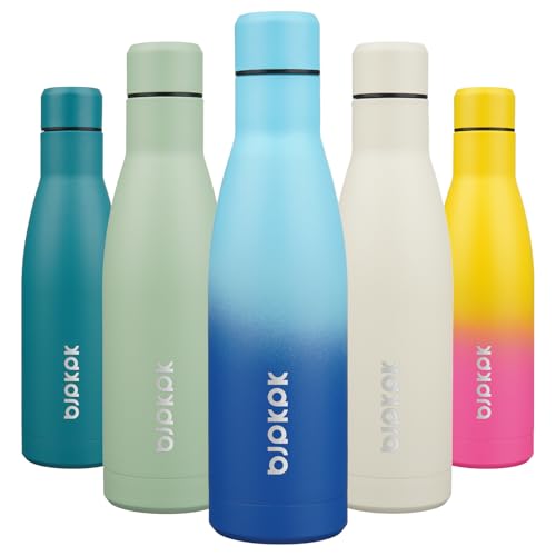 BJPKPK 17oz Skinny Insulated Water Bottle, Stainless Steel Flask - color: Sky, size: 17 Ounces