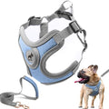 Dog Harness with Leash Set, No Pull Adjustable Step in Pet Vest - color: Blue, size: L