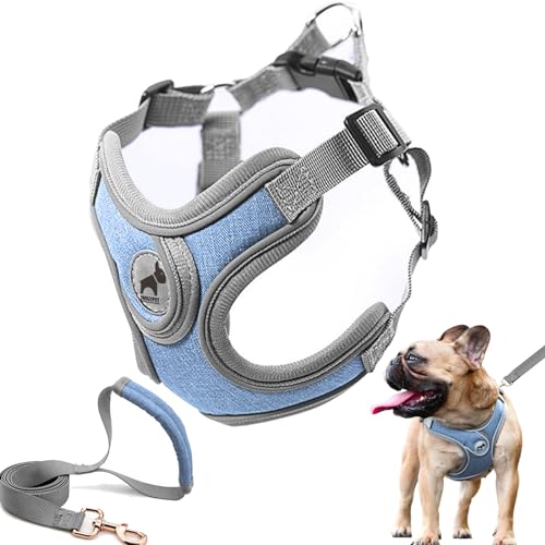 Dog Harness with Leash Set, No Pull Adjustable Step in Pet Vest - color: Blue, size: S