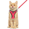 Rttochfy Cat Harness and Leash Set, Escape Proof Kitten Harness, Soft and Breathable Vest with Reflective Strip, Easy to Wear for Cats Walking and Traveling (BK Red, XXS) - color: BK Red, size: XXS (Chest:11"-12")