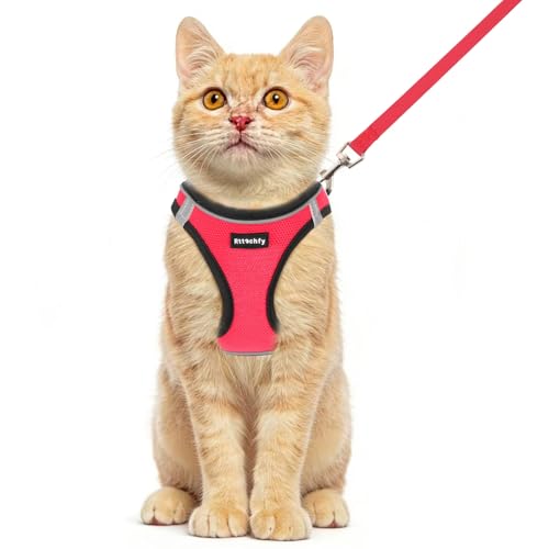 Rttochfy Cat Harness and Leash Set, Escape Proof Kitten Harness, Soft and Breathable Vest with Reflective Strip, Easy to Wear for Cats Walking and Traveling (BK Red, XXS) - color: BK Red, size: XXS (Chest:11"-12")