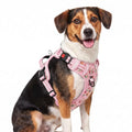 HEELE Dog Harness, Quick Release 3 Buckles, Easy On & Off, Flower Pink, M - color: FloFlower Pinkwer Burgundy, size: M (Pack of 1)