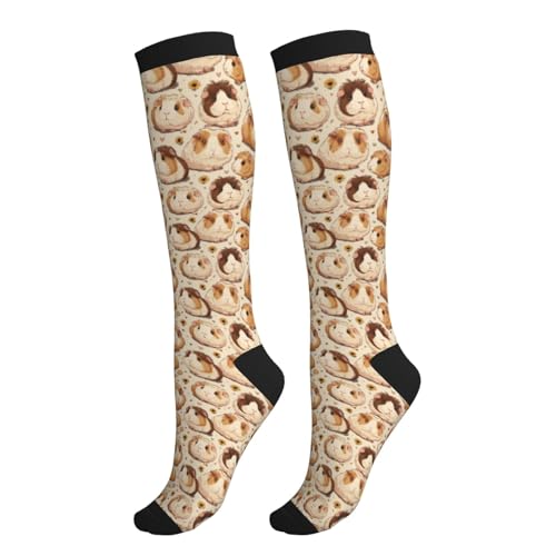 Compression Socks Knee High Support Socks Women Circulation Stockings for Athletic Running Cycling Flying - color: Guinea Pig