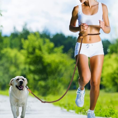 Mile High Life Hands Free Dog Leash, Crossbody Waist Leash with Genuine Leather Connection, Multifunctional Adjustable Slip Lead for Dog Walking Running (Dark Brown, 7FT) - color: Dark Brown, size: 7FT Hands Free