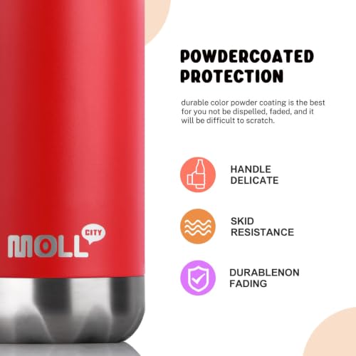 Small Water Bottles for Kids 9oz Stainless Steel Insulated Thermos - color: Canyon Red, size: 9 Ounces