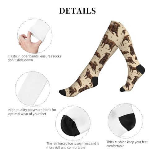 Cute Dog Compression Socks Women Men, Dog Lover Gift - color: Chocolate Lab