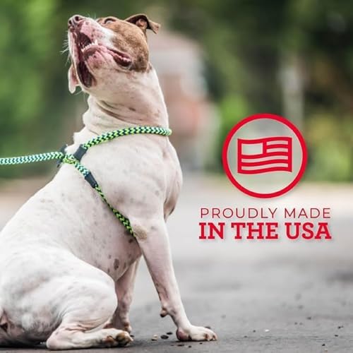 Harness Lead No Pull Dog Harness and Leash Set, Anti Pull Dog Harness, One-Piece Cushioned Rope Safely Prevents Escaping and Pulling (Medium/Large, Rainforest) - color: Rainforest (Olive/Lime/Turquoise)