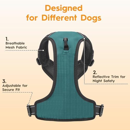 No Pull Dog Harness, No-Choke Soft Padded Reflective Dog Vest Harness with Front Clip & Top Handle, 2 Quick-Release Buckles, Adjustable for Small Medium Large Dogs - color: Glacial Teal, size: X-Small