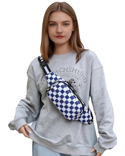 AIBEARTY Fashion Fanny Pack Small Checkered Waist Pack Belt Waist Bag Pack Pouch with Adjustable Strap for Sport Running,Camping,Trip - color: Blue Check Pattern