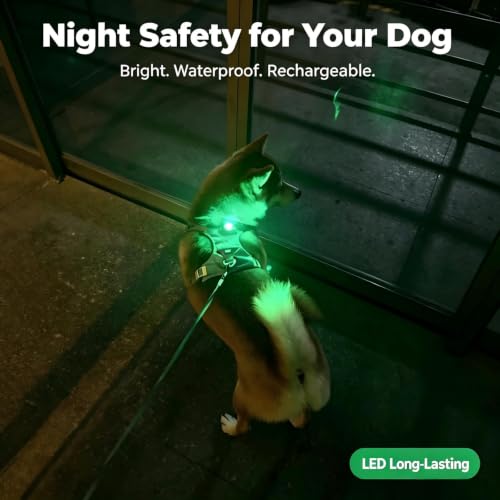 LaRoo Dog Collar Light, 13g Ultra-Light USB Rechargeable LED Dog Lights, IPX6 Waterproof 3 Modes Clip-On Pet Safety Light for Night Walking, Hiking & Camping -Green - color: Green-B