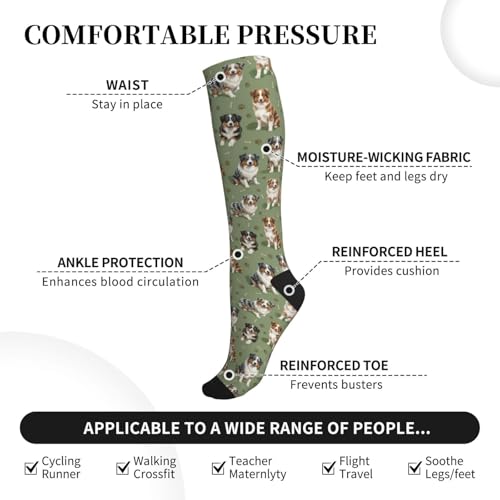Cute Dog Compression Socks Women Men, Dog Lover Gift - color: Australian Shepherd