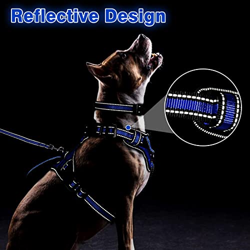 WINSEE All-in-One Reflective Dog Harness, Collar & Leash Set, No Pull with Adjustable Buckles, X-Large, Dark Blue - color: Dark Blue, size: X-Large