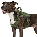 WINGOIN Tactical Dog Harness for Medium Size Dogs,No Pull Dog Harnesses - color: Green, size: Medium: 30-50 lbs (Chest:24-28",Neck:17-19")