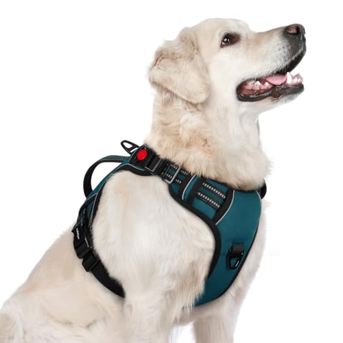 rabbitgoo Large Dog Harness, Easy Wear with 3 Buckles and Lift Handle - color: Green, size: Large