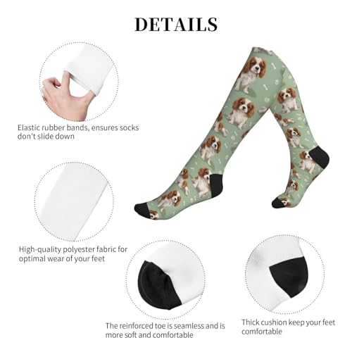 Cute Dog Compression Socks Women Men, Dog Lover Gift - color: King Charles Cavalier2