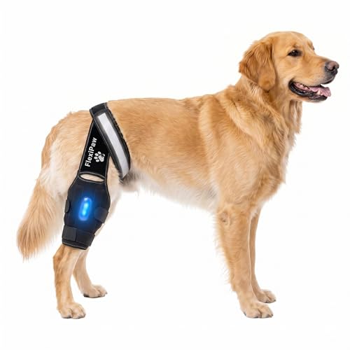 Dog Knee Brace for Torn ACL and CCL, Rear Hind Leg Brace for Dogs, Back Leg Support for Cruciate Ligament Tears, Cold Therapy Gel Pack, Removable Stabilizer Rods, Torso Strap, XL - size: Extra Large