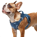 rabbitgoo Tactical Dog Harness for Small Dogs, No Pull Service Pet Vest - color: Blue Camo, size: S(Chest:16.1"-31.5",Neck:15.4"-21.6",Back:7.1")