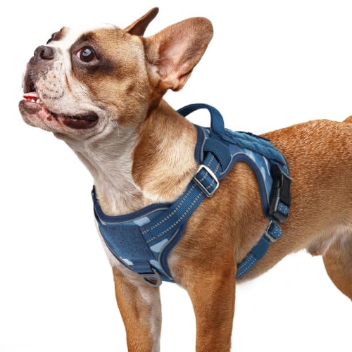 rabbitgoo Tactical Dog Harness for Small Dogs, No Pull Service Pet Vest - color: Blue Camo, size: S(Chest:16.1"-31.5",Neck:15.4"-21.6",Back:7.1")