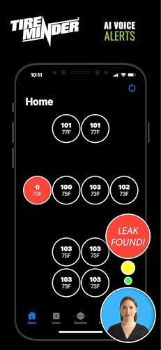 TireMinder Smart TPMS with 4 Transmitters for RVs, MotorHomes, 5th Wheels, Motor Coaches and Trailers - size: 4 Transmitters