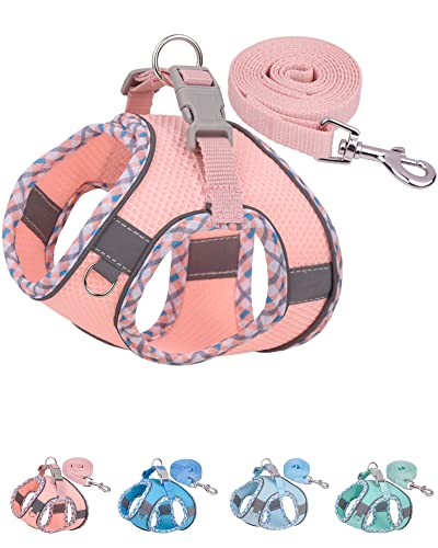 Petank Step in Dog Harness No Pull and Leash for Small Medium Dogs Cats. - color: Pink, size: XXS