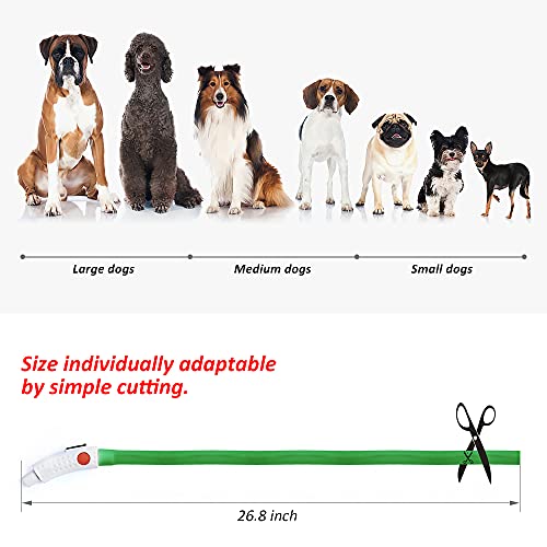 BSEEN Light Up Dog Collars - Silicone LED Dog Collar, Cuttable Lighted Puppy Collar, Glowing Dog Walking Lights for Small Medium Large Collars (Green) - color: Green-Standard(70cm)
