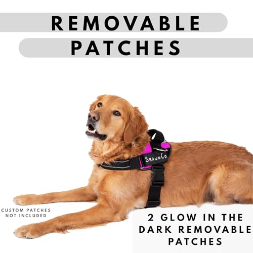 ShawnCo Essential Pro Dog Harness, No-Pull Pet Vest (Oceanic Blue, S) - color: Oceanic Blue, size: S