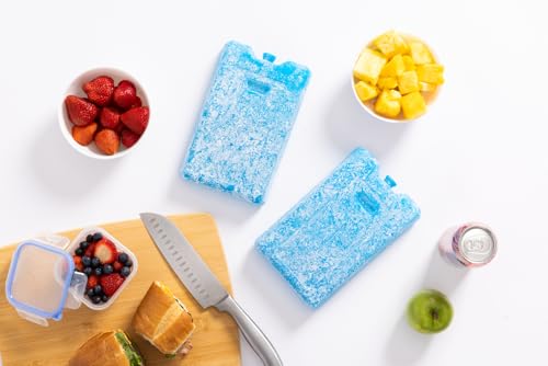 Igloo Maxcold Ice Block, 2 Pieces - color: 2PK Large