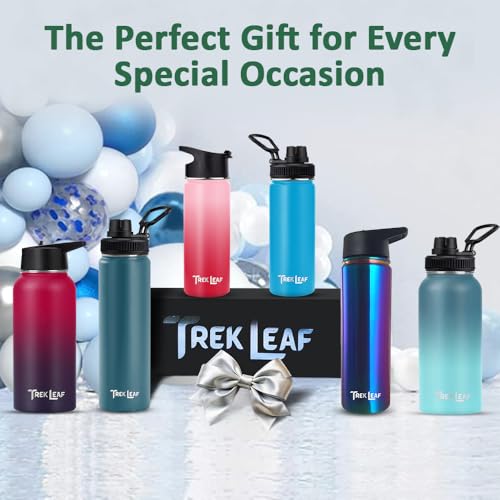 Travel Water Bottle with 3 Lids (Spout, Straw, Flip) Leak Proof, Quality, Vacuum Insulated, Stainless Steel (Cascade Shadow, 18 oz) - color: Cascade Shadow, size: 18 Ounces
