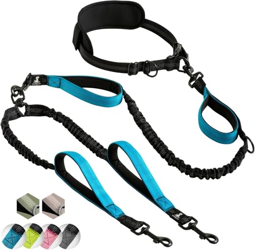 SparklyPets Hands Free Dual Dog Leash, Medium & Large (Blue) - color: Blue, size: 2 dogs M/L