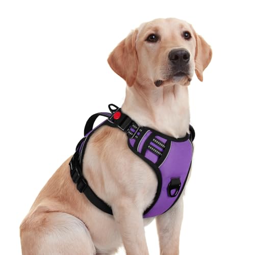 rabbitgoo Large Dog Harness, Easy Wear with 3 Buckles and Lift Handle - color: Purple, size: Medium