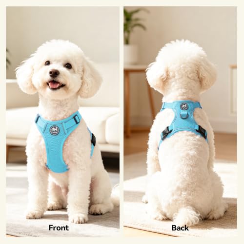 PoyPet Mesh Dog Harness, Reflective Breathable Puppy Vest for Small Dogs - color: Blue, size: S