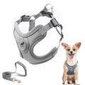 Dog Harness with Leash Set, No Pull Adjustable Step in Pet Vest - color: Gray, size: XS