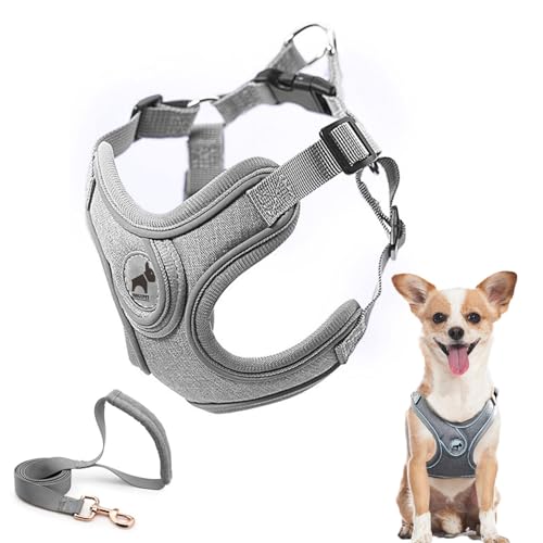 Dog Harness with Leash Set, No Pull Adjustable Step in Pet Vest - color: Gray, size: XS