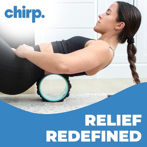 Chirp Wheel XR 6" Knot Kneader Back Roller for Deep Tissue Relief, Mint - size: 6 Inch Mint